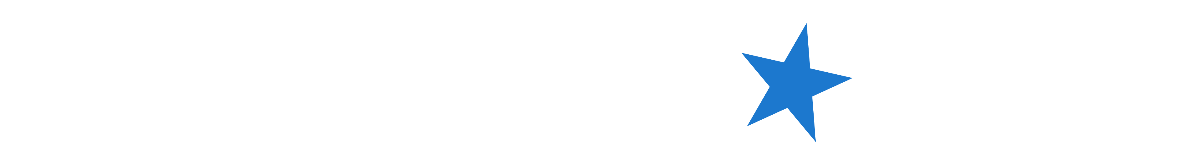 NorthStar Bets Сasino logo